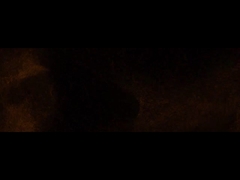 مسؤول في شركة فاديور