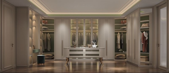 Customizable Ivory Stainless Steel Walk In Closet Systems With Ample Storage
