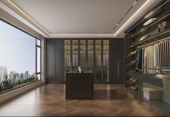 Multifunctional Sustainable Stainless Steel Closet For Modern Luxury Home