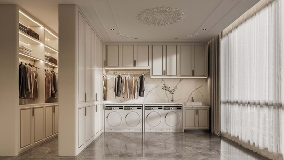 Customizable Durable Stainless Steel Laundry Cabinet Moisture Resistant